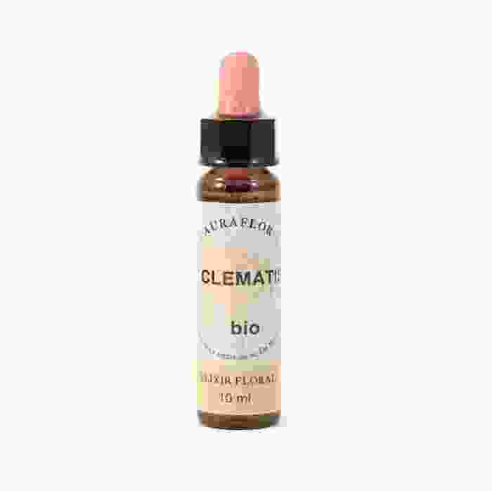 image de Fleur de Bach Clématite (Clematis) bio - 10 ml - Dioter