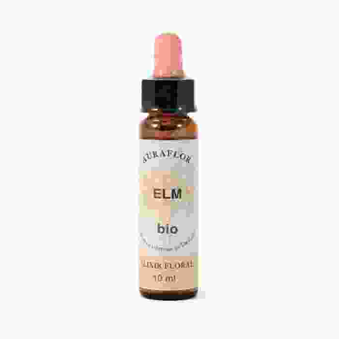 image de Fleur de Bach Orme (Elm) bio - 10 ml - Dioter
