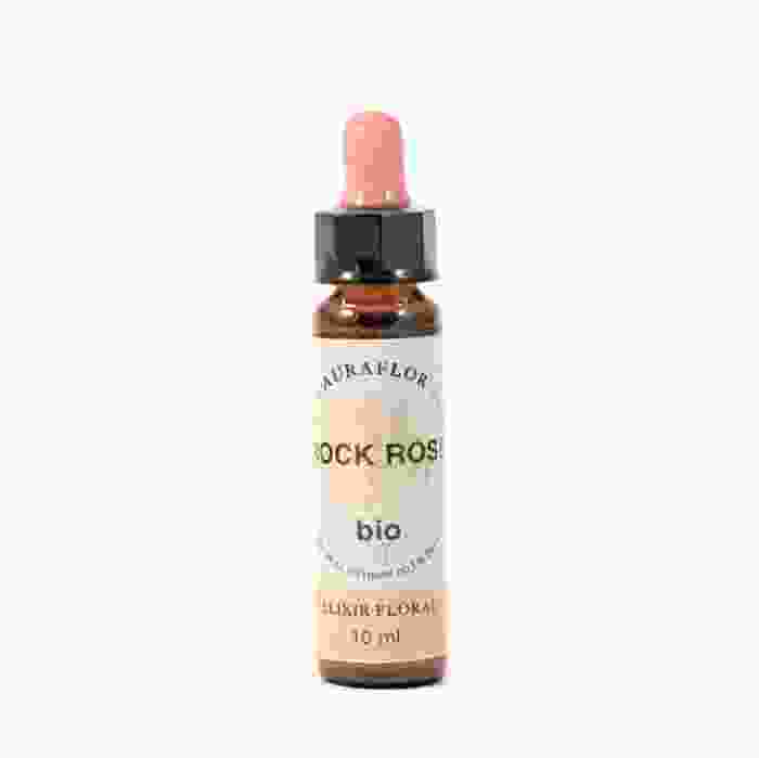 image de Fleur de Bach Hélianthème (Rock Rose) bio - 10 ml - Dioter