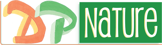 DP Nature Logo